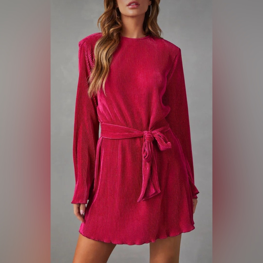VICI Elexis Plisse mini dress Berry XS NWOT